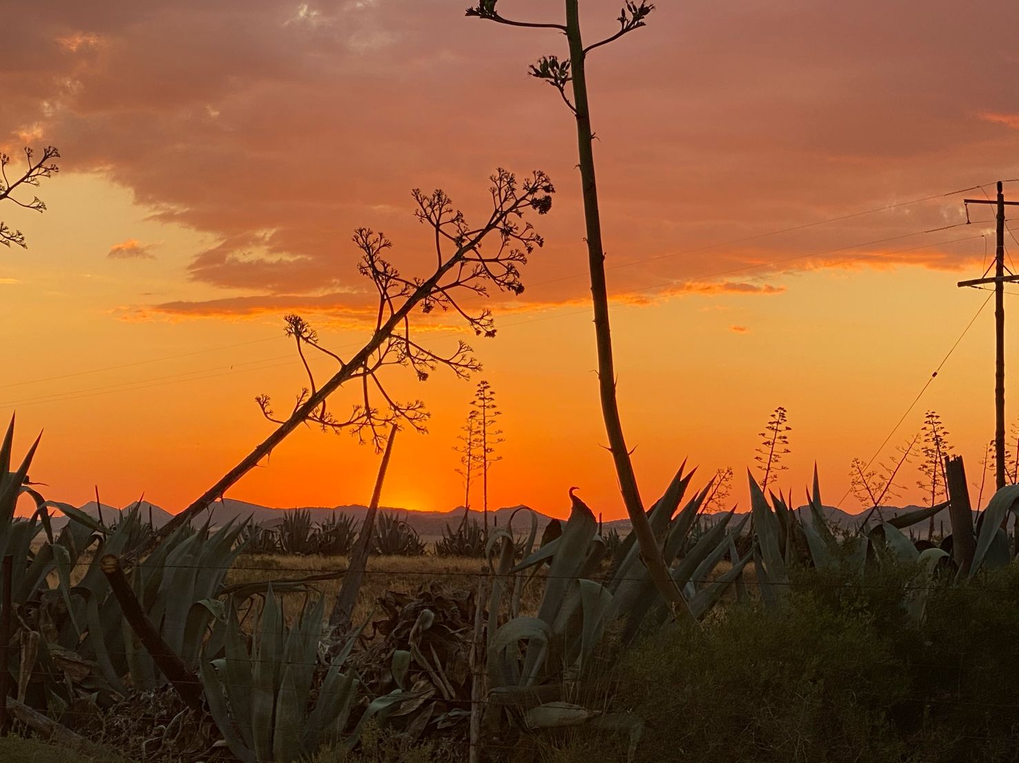 Read more about the article South Africa – a world in one